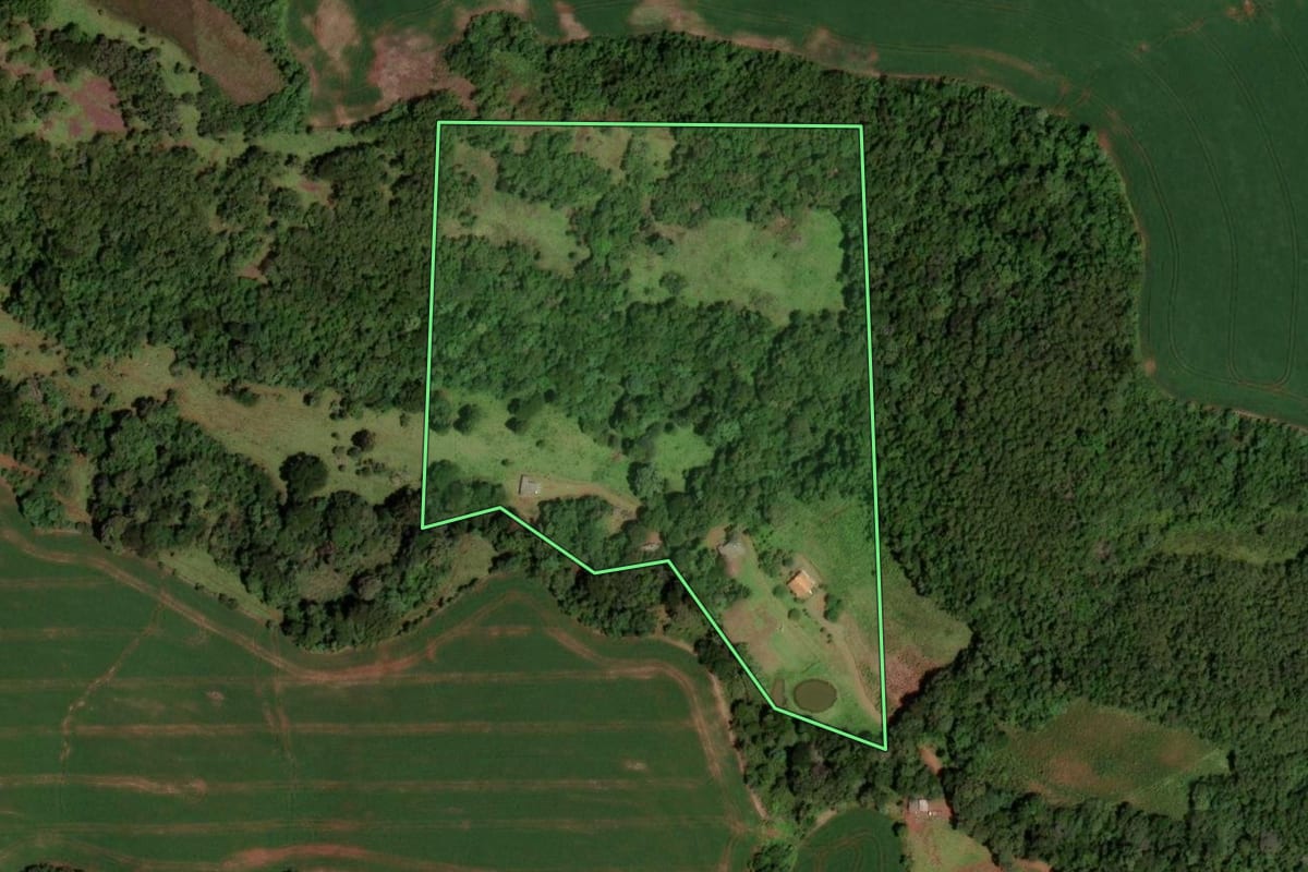Imagem de satélite do imóvel rural em Honório Serpa (PR), com o contorno declarado no CAR desenhado por cima.