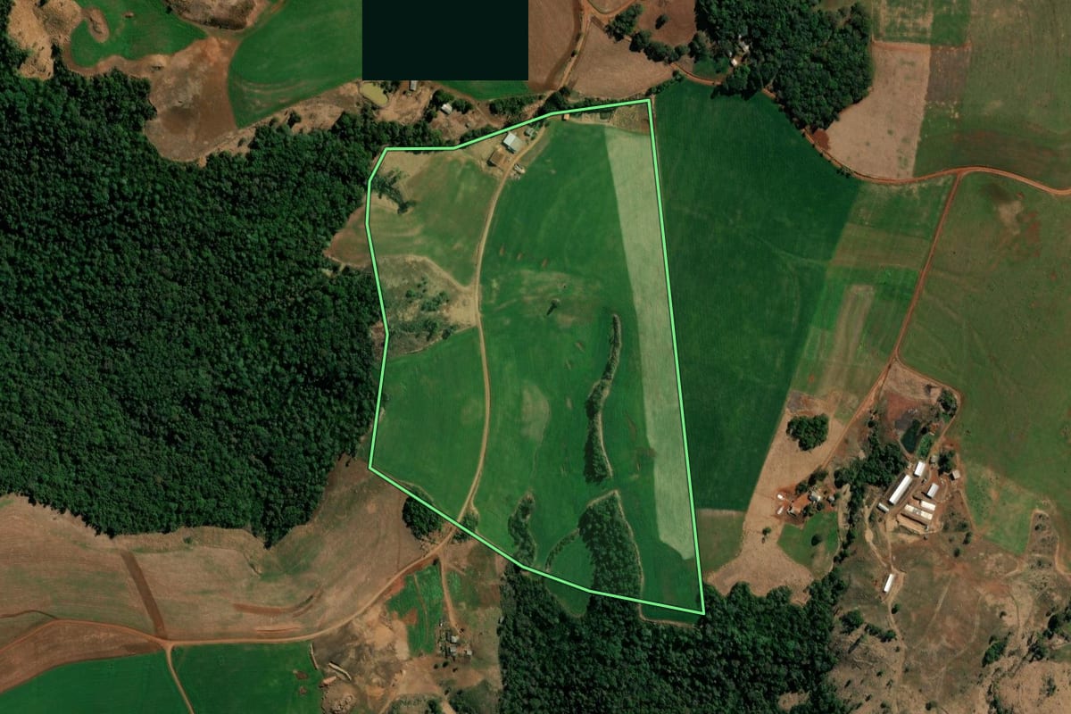 Imagem de satélite do imóvel rural em Honório Serpa (PR), com o contorno declarado no CAR desenhado por cima.