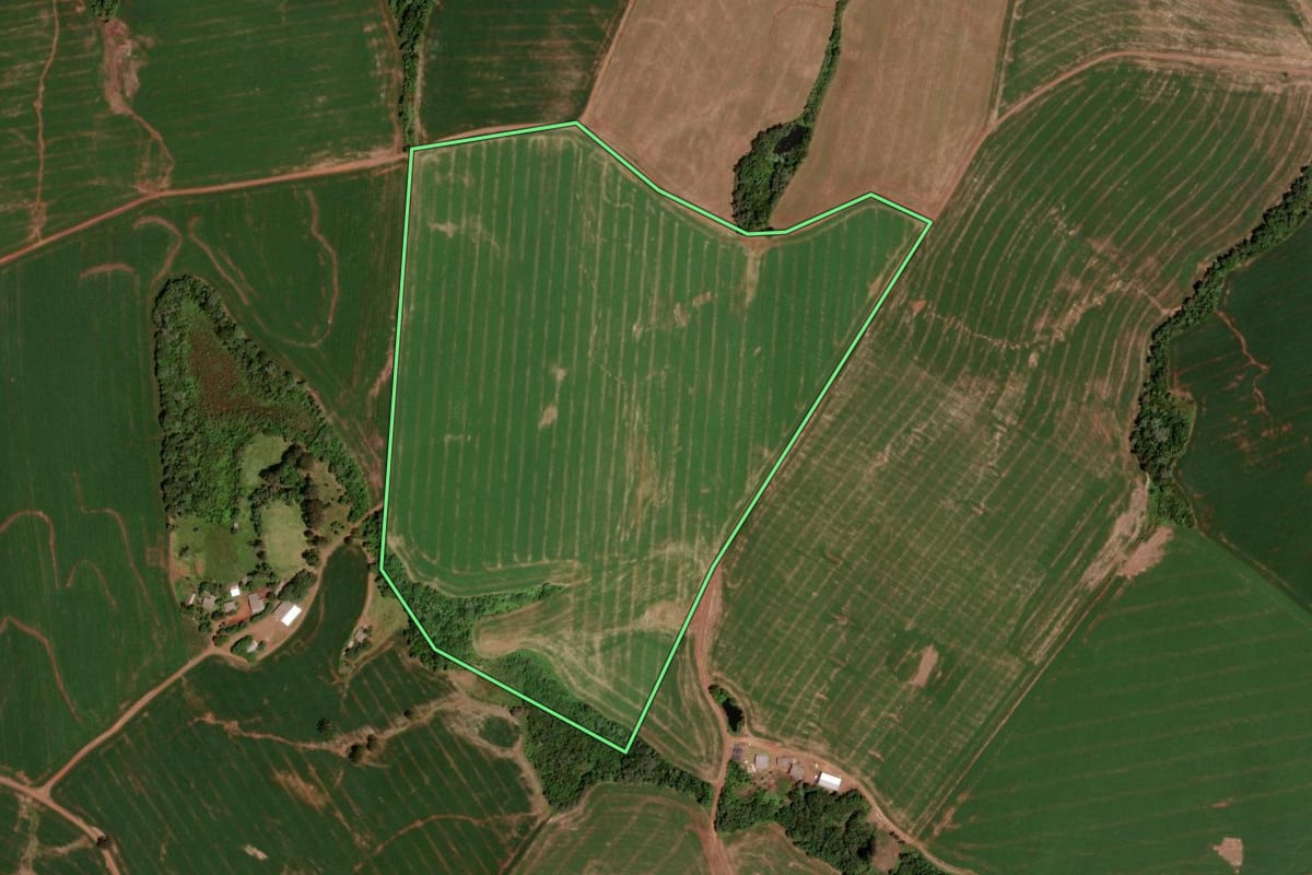 Imagem de satélite do imóvel rural em Honório Serpa (PR), com o contorno declarado no CAR desenhado por cima.