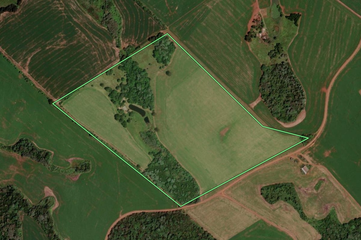 Imagem de satélite do imóvel rural em Honório Serpa (PR), com o contorno declarado no CAR desenhado por cima.