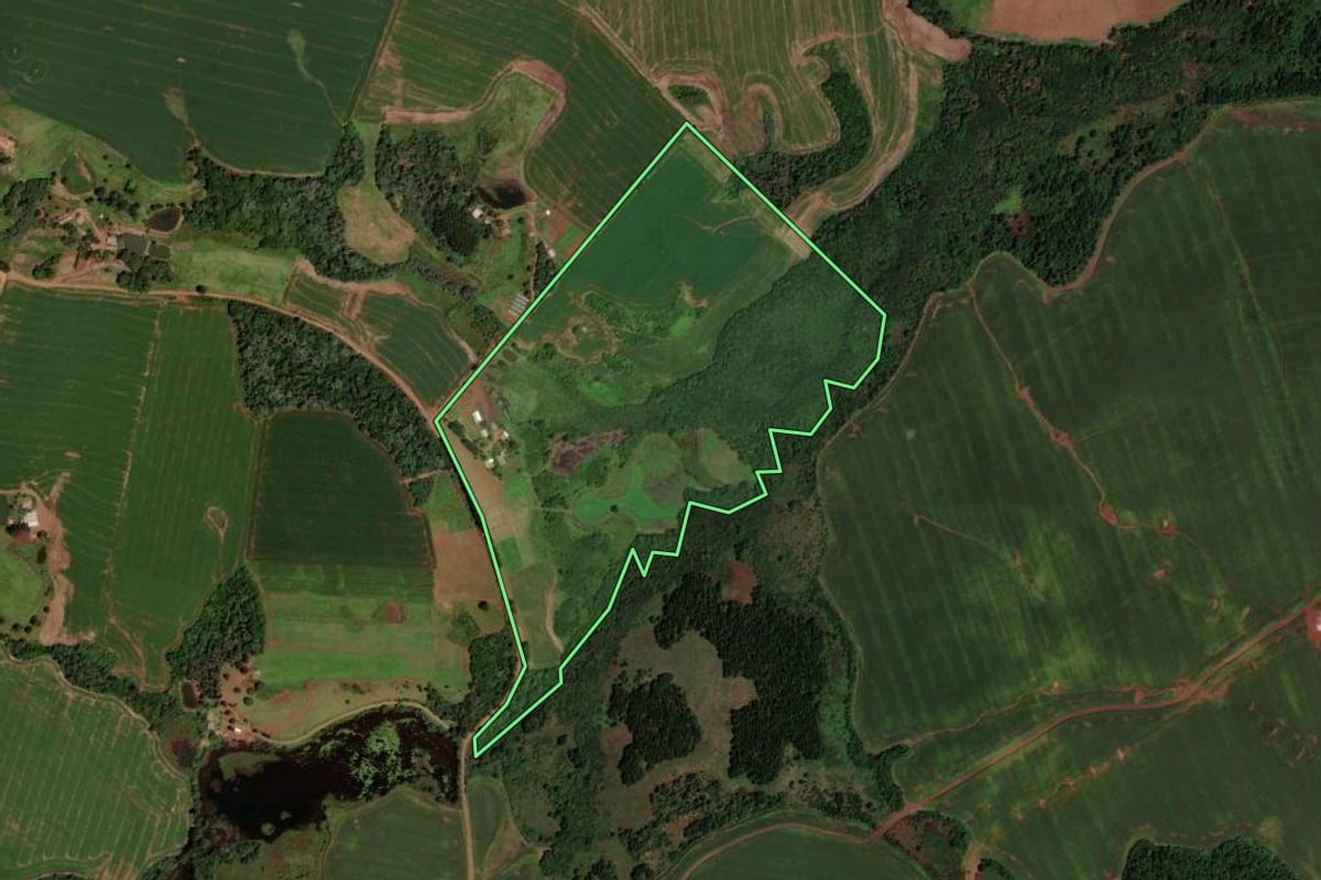 Imagem de satélite do imóvel rural em Honório Serpa (PR), com o contorno declarado no CAR desenhado por cima.