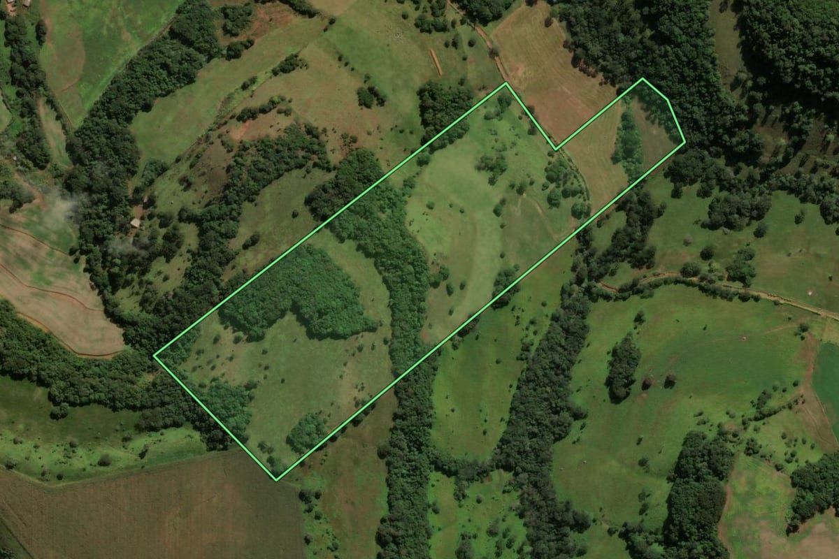 Imagem de satélite do imóvel rural em Honório Serpa (PR), com o contorno declarado no CAR desenhado por cima.