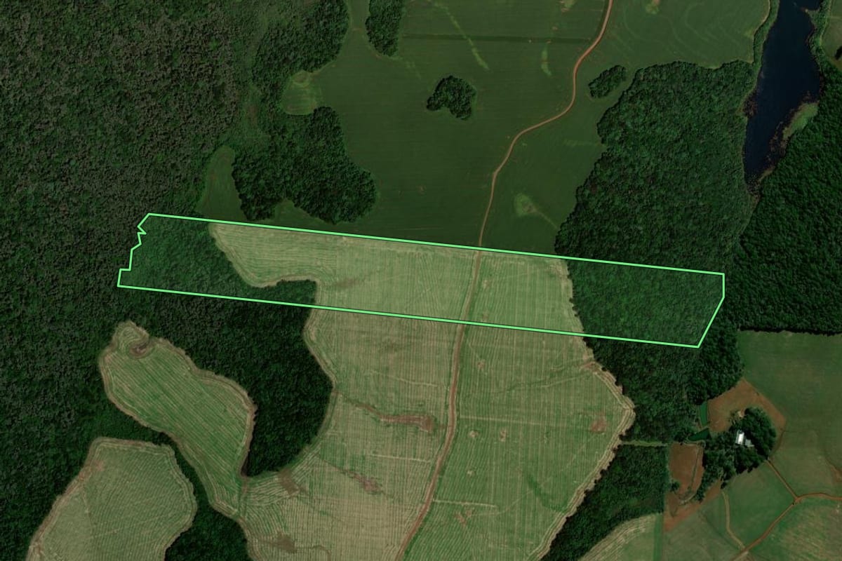 Imagem de satélite do imóvel rural em Honório Serpa (PR), com o contorno declarado no CAR desenhado por cima.
