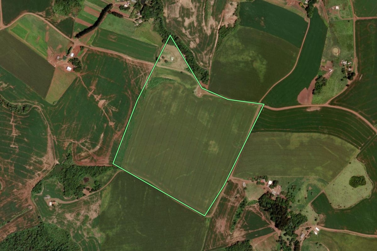 Imagem de satélite do imóvel rural em Honório Serpa (PR), com o contorno declarado no CAR desenhado por cima.