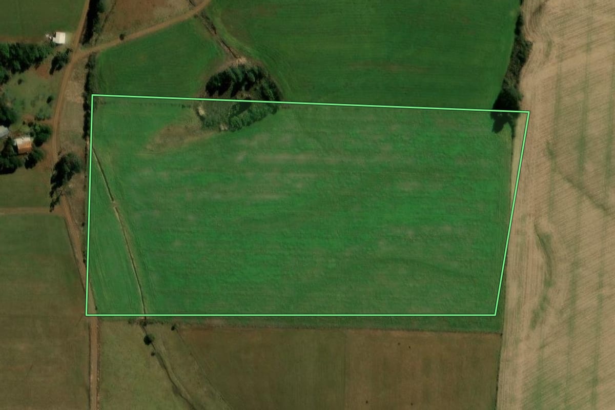 Imagem de satélite do imóvel rural em Honório Serpa (PR), com o contorno declarado no CAR desenhado por cima.