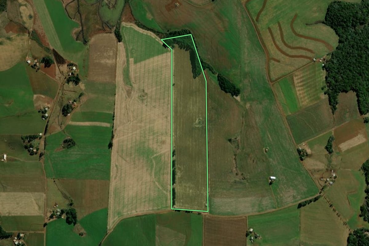 Imagem de satélite do imóvel rural em Honório Serpa (PR), com o contorno declarado no CAR desenhado por cima.