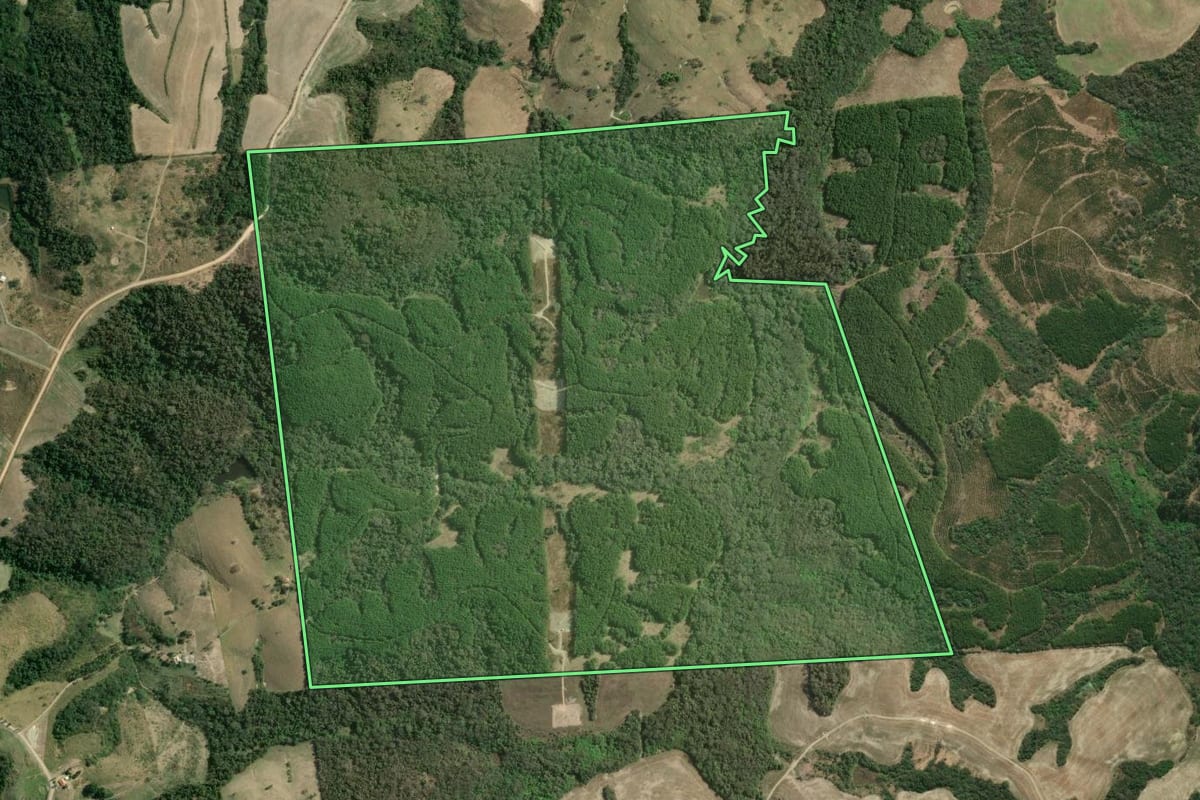 Imagem de satélite do imóvel rural em Ibaiti (PR), com o contorno declarado no CAR desenhado por cima.