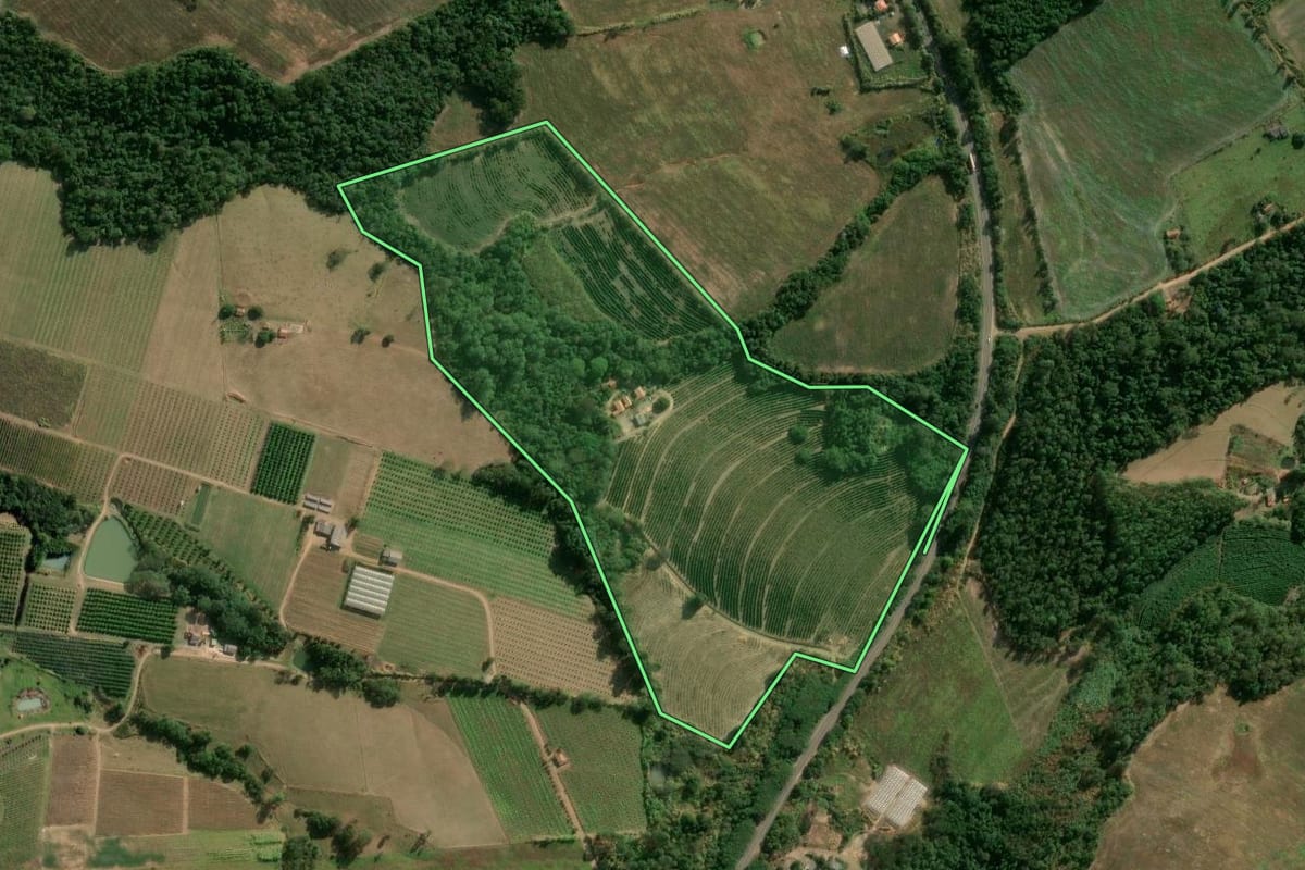 Imagem de satélite do imóvel rural em Ibaiti (PR), com o contorno declarado no CAR desenhado por cima.