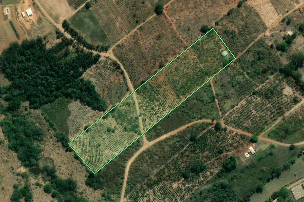 Imagem de satélite do imóvel rural em Ibaiti (PR), com o contorno declarado no CAR desenhado por cima.