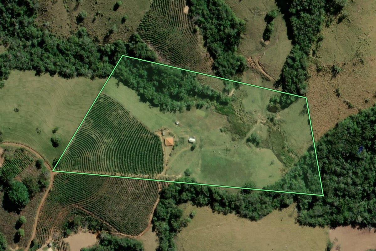 Imagem de satélite do imóvel rural em Ibaiti (PR), com o contorno declarado no CAR desenhado por cima.
