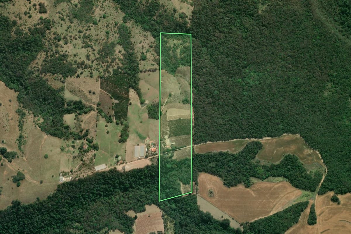 Imagem de satélite do imóvel rural em Ibaiti (PR), com o contorno declarado no CAR desenhado por cima.