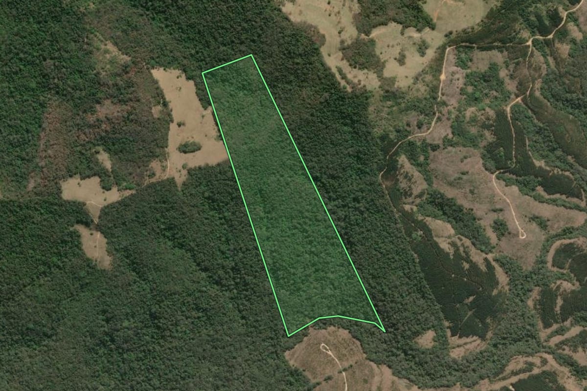 Imagem de satélite do imóvel rural em Ibaiti (PR), com o contorno declarado no CAR desenhado por cima.
