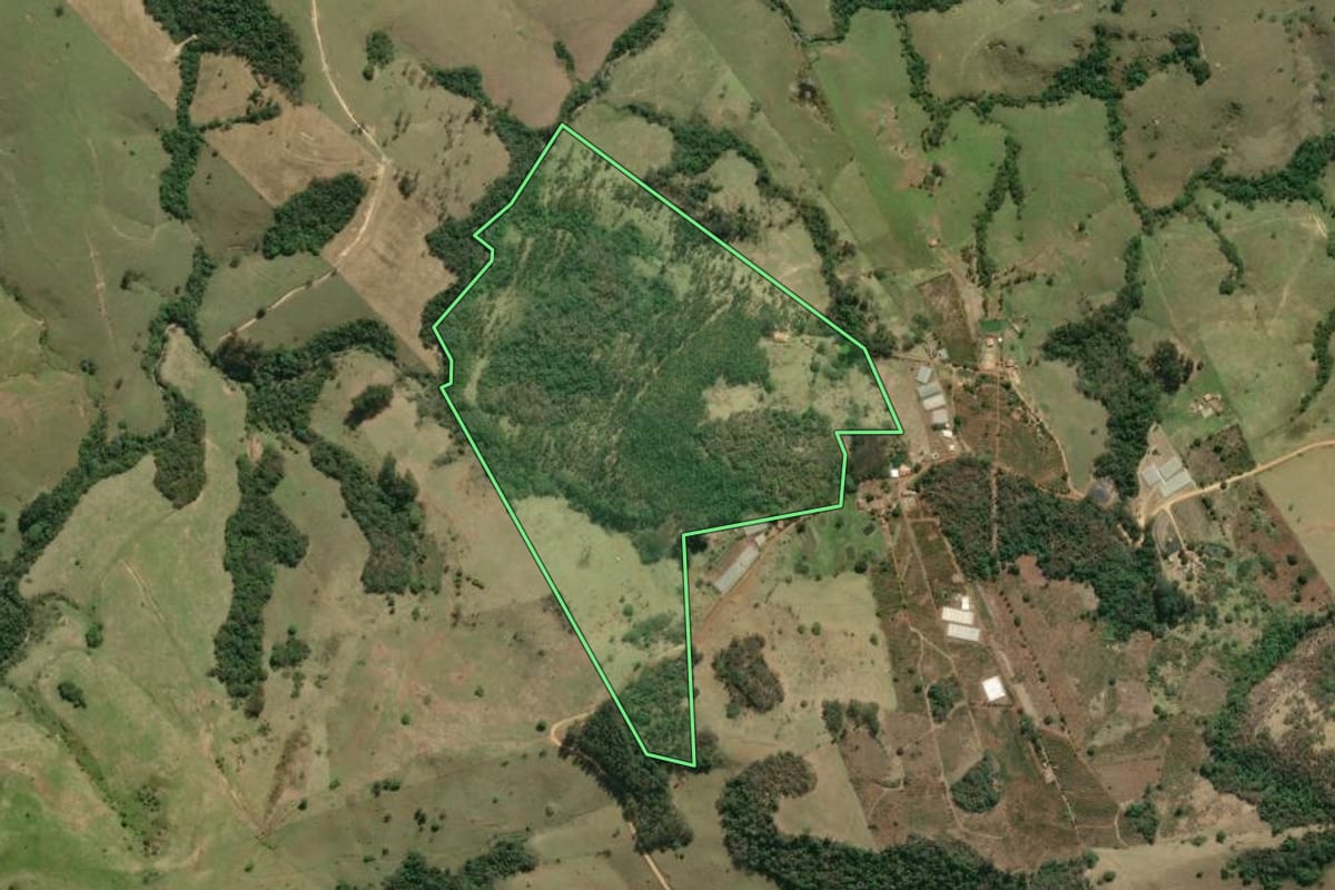 Imagem de satélite do imóvel rural em Ibaiti (PR), com o contorno declarado no CAR desenhado por cima.