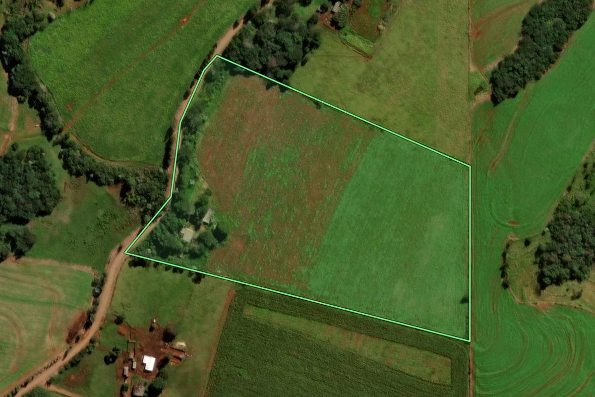 Imagem de satélite do imóvel rural em Ibema (PR), com o contorno declarado no CAR desenhado por cima.
