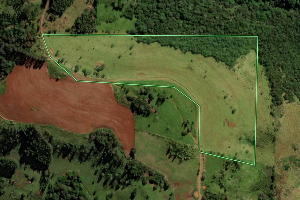 Imagem de satélite do imóvel rural em Ibema (PR), com o contorno declarado no CAR desenhado por cima.