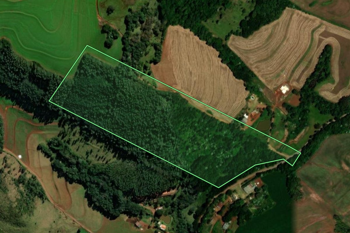 Imagem de satélite do imóvel rural em Ibema (PR), com o contorno declarado no CAR desenhado por cima.