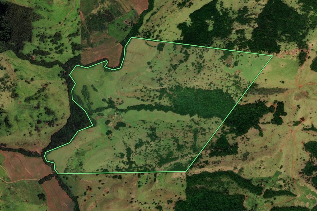 Imagem de satélite do imóvel rural em Ibema (PR), com o contorno declarado no CAR desenhado por cima.