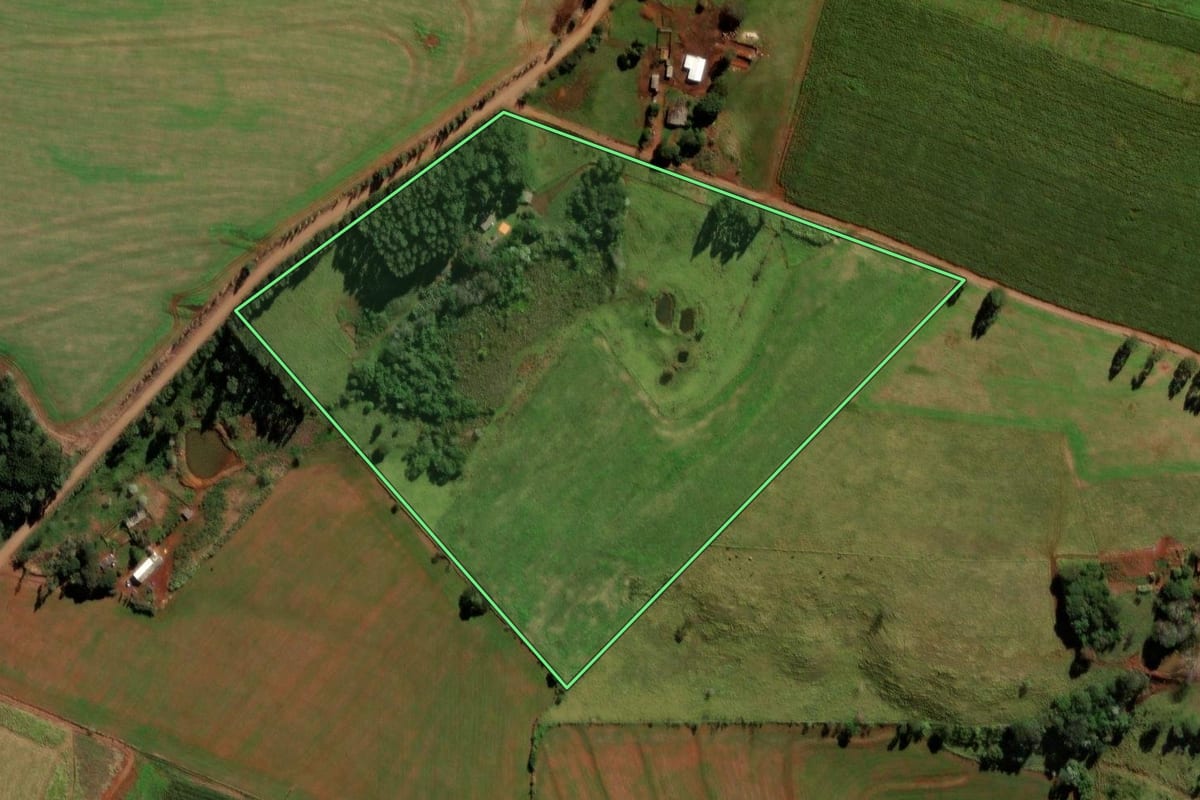 Imagem de satélite do imóvel rural em Ibema (PR), com o contorno declarado no CAR desenhado por cima.