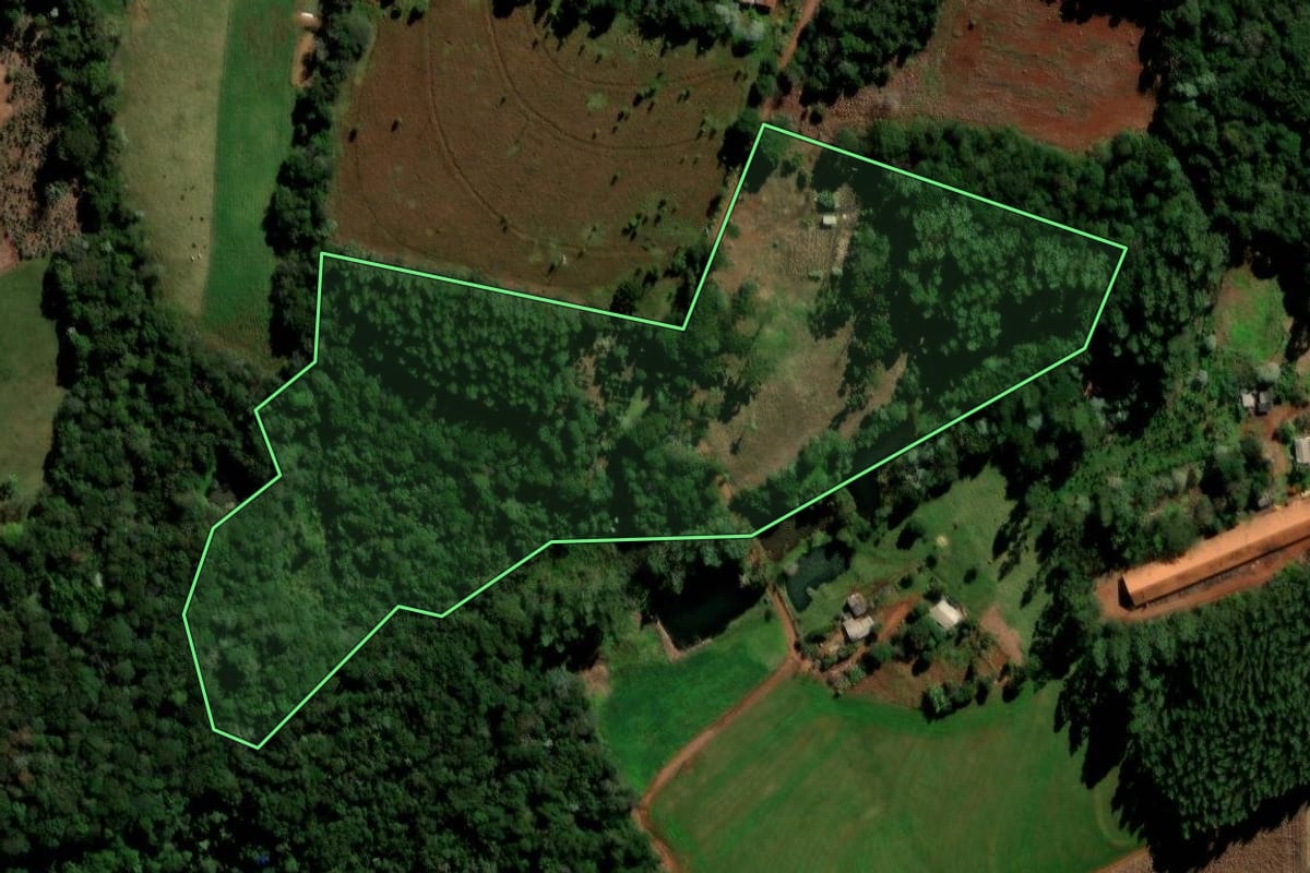 Imagem de satélite do imóvel rural em Ibema (PR), com o contorno declarado no CAR desenhado por cima.