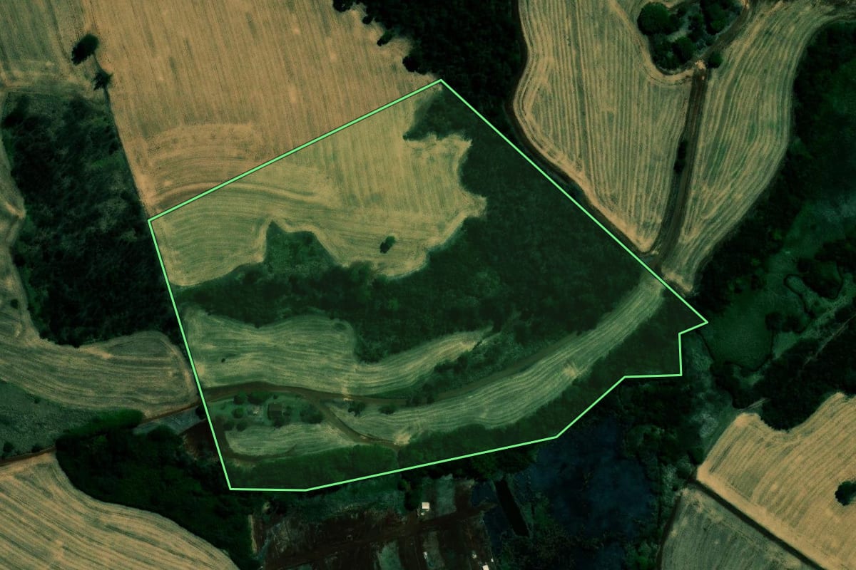 Imagem de satélite do imóvel rural em Ibiporã (PR), com o contorno declarado no CAR desenhado por cima.
