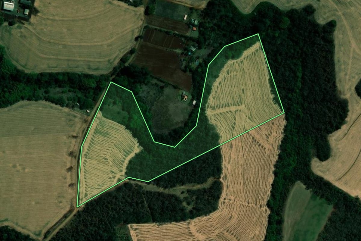 Imagem de satélite do imóvel rural em Ibiporã (PR), com o contorno declarado no CAR desenhado por cima.