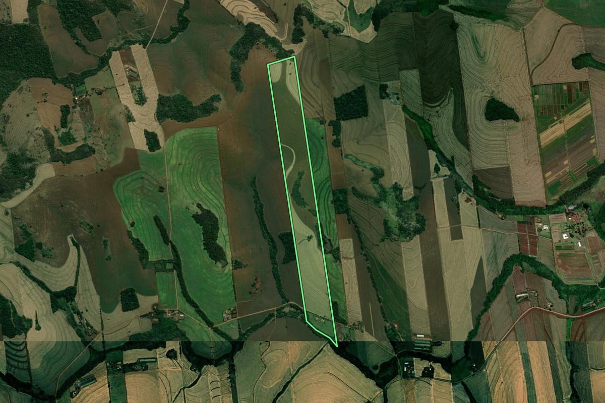 Imagem de satélite do imóvel rural em Ibiporã (PR), com o contorno declarado no CAR desenhado por cima.
