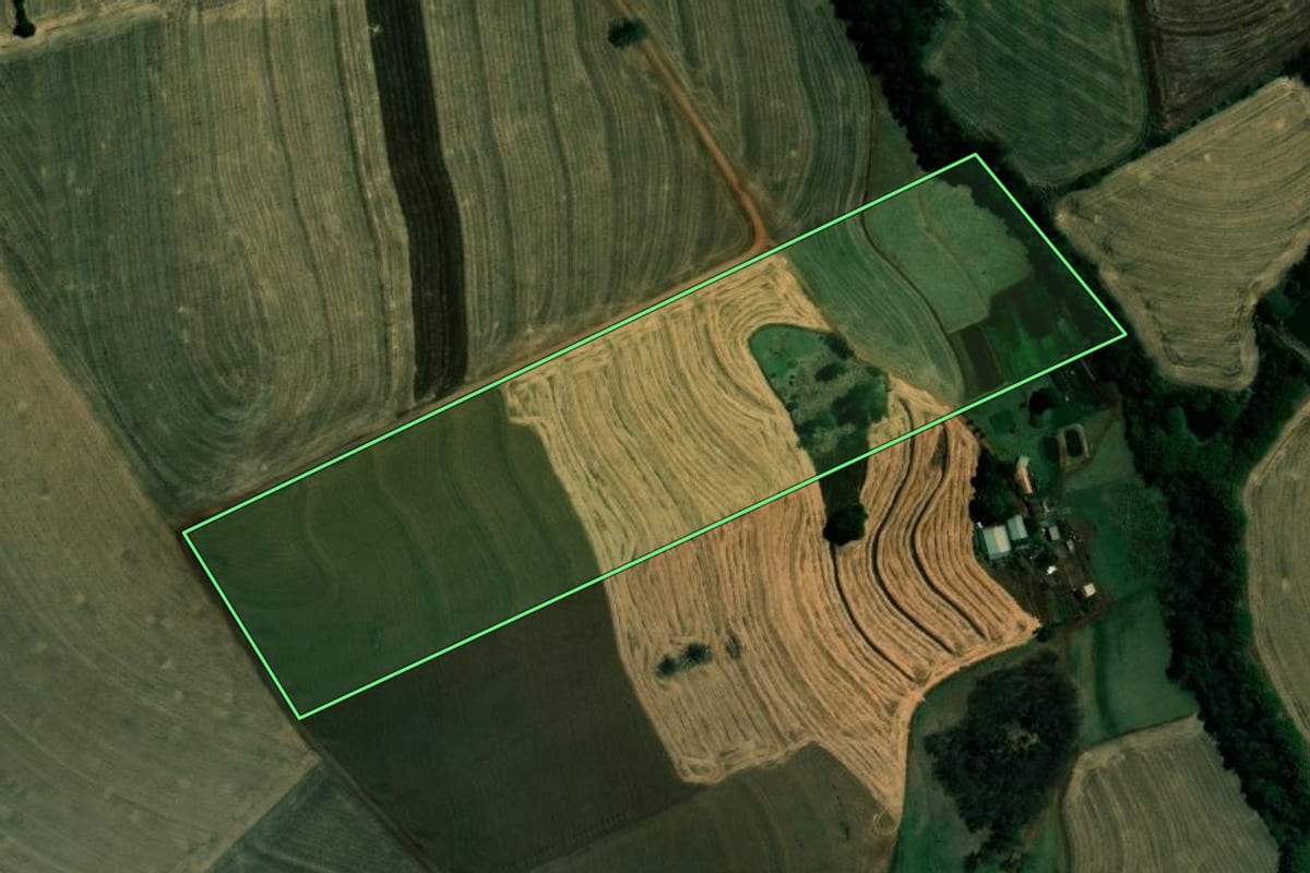 Imagem de satélite do imóvel rural em Ibiporã (PR), com o contorno declarado no CAR desenhado por cima.