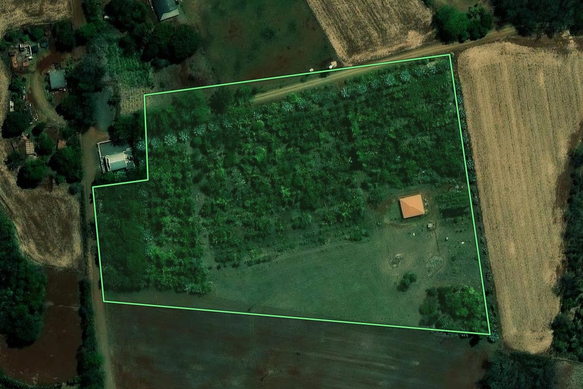 Imagem de satélite do imóvel rural em Ibiporã (PR), com o contorno declarado no CAR desenhado por cima.