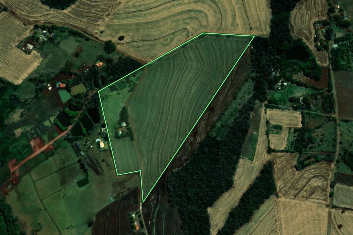 Imagem de satélite do imóvel rural em Ibiporã (PR), com o contorno declarado no CAR desenhado por cima.