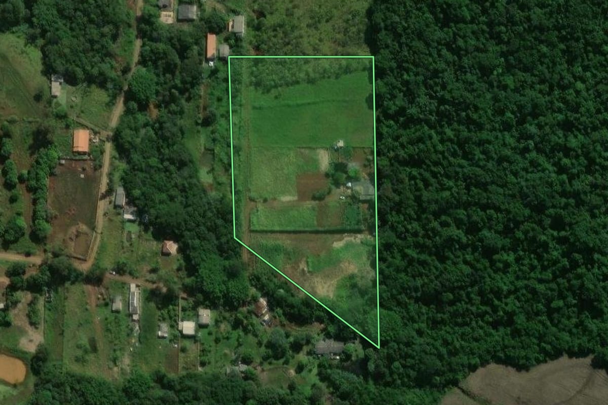 Imagem de satélite do imóvel rural em Ibiporã (PR), com o contorno declarado no CAR desenhado por cima.