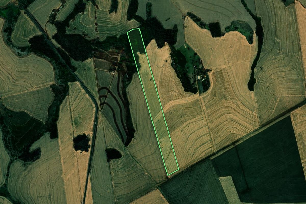 Imagem de satélite do imóvel rural em Ibiporã (PR), com o contorno declarado no CAR desenhado por cima.