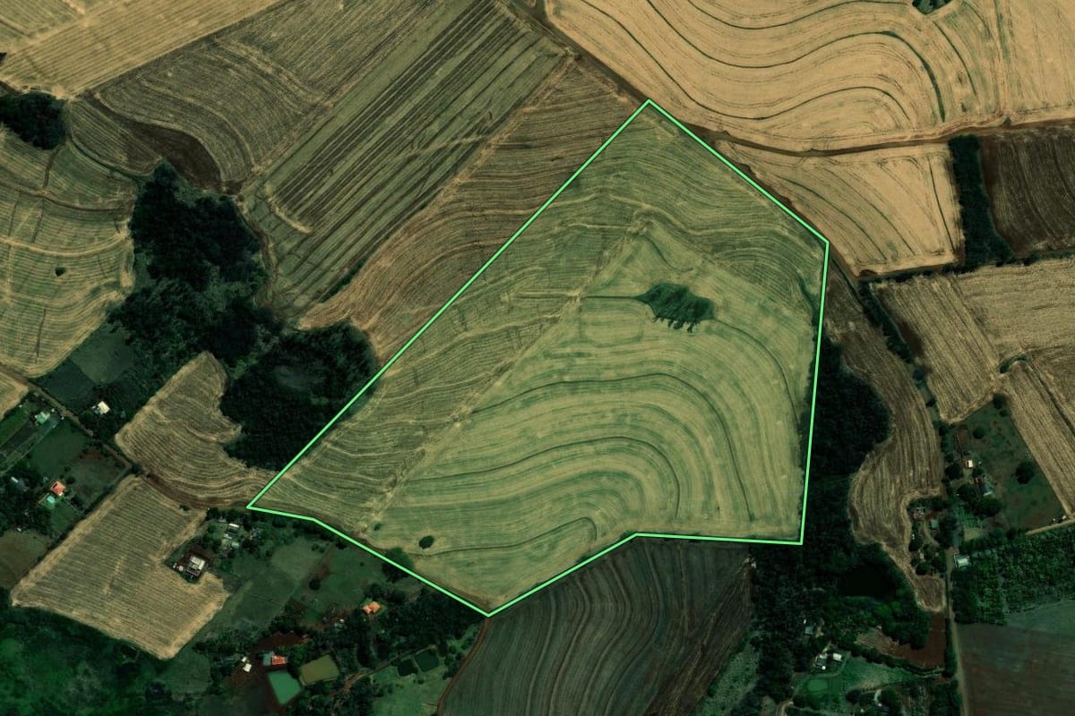 Imagem de satélite do imóvel rural em Ibiporã (PR), com o contorno declarado no CAR desenhado por cima.
