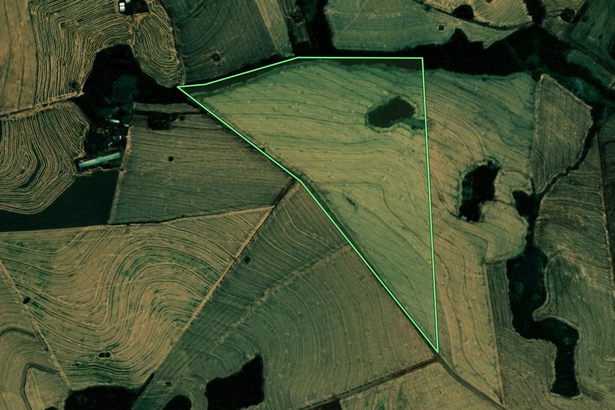 Imagem de satélite do imóvel rural em Ibiporã (PR), com o contorno declarado no CAR desenhado por cima.