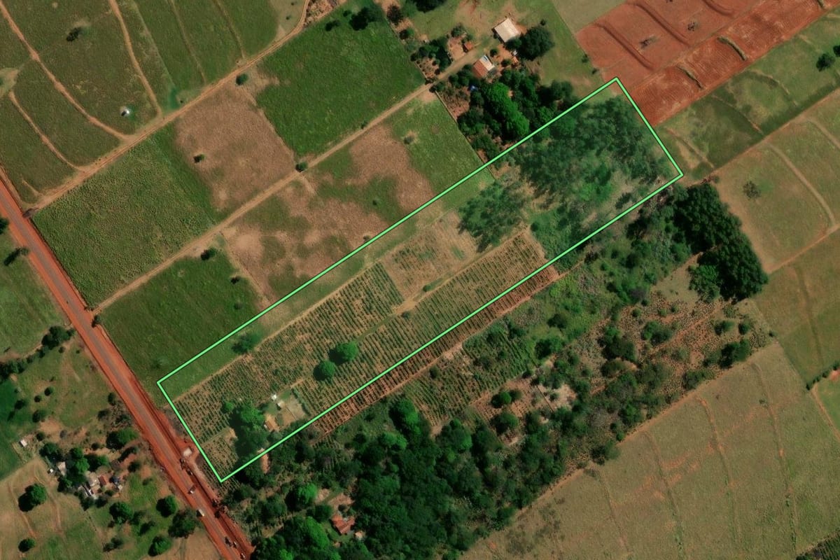 Imagem de satélite do imóvel rural em Icaraíma (PR), com o contorno declarado no CAR desenhado por cima.