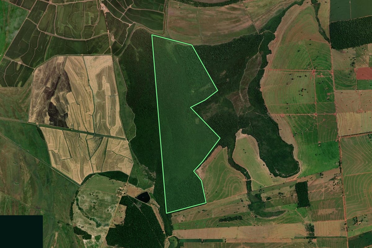 Imagem de satélite do imóvel rural em Icaraíma (PR), com o contorno declarado no CAR desenhado por cima.