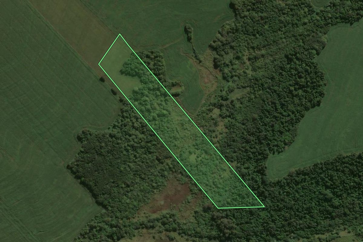 Imagem de satélite do imóvel rural em Iguaraçu (PR), com o contorno declarado no CAR desenhado por cima.