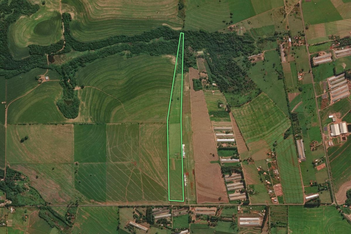 Imagem de satélite do imóvel rural em Iguaraçu (PR), com o contorno declarado no CAR desenhado por cima.