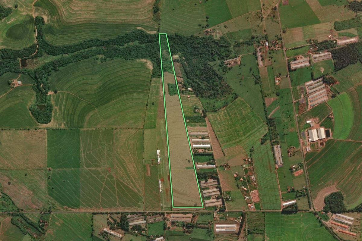 Imagem de satélite do imóvel rural em Iguaraçu (PR), com o contorno declarado no CAR desenhado por cima.