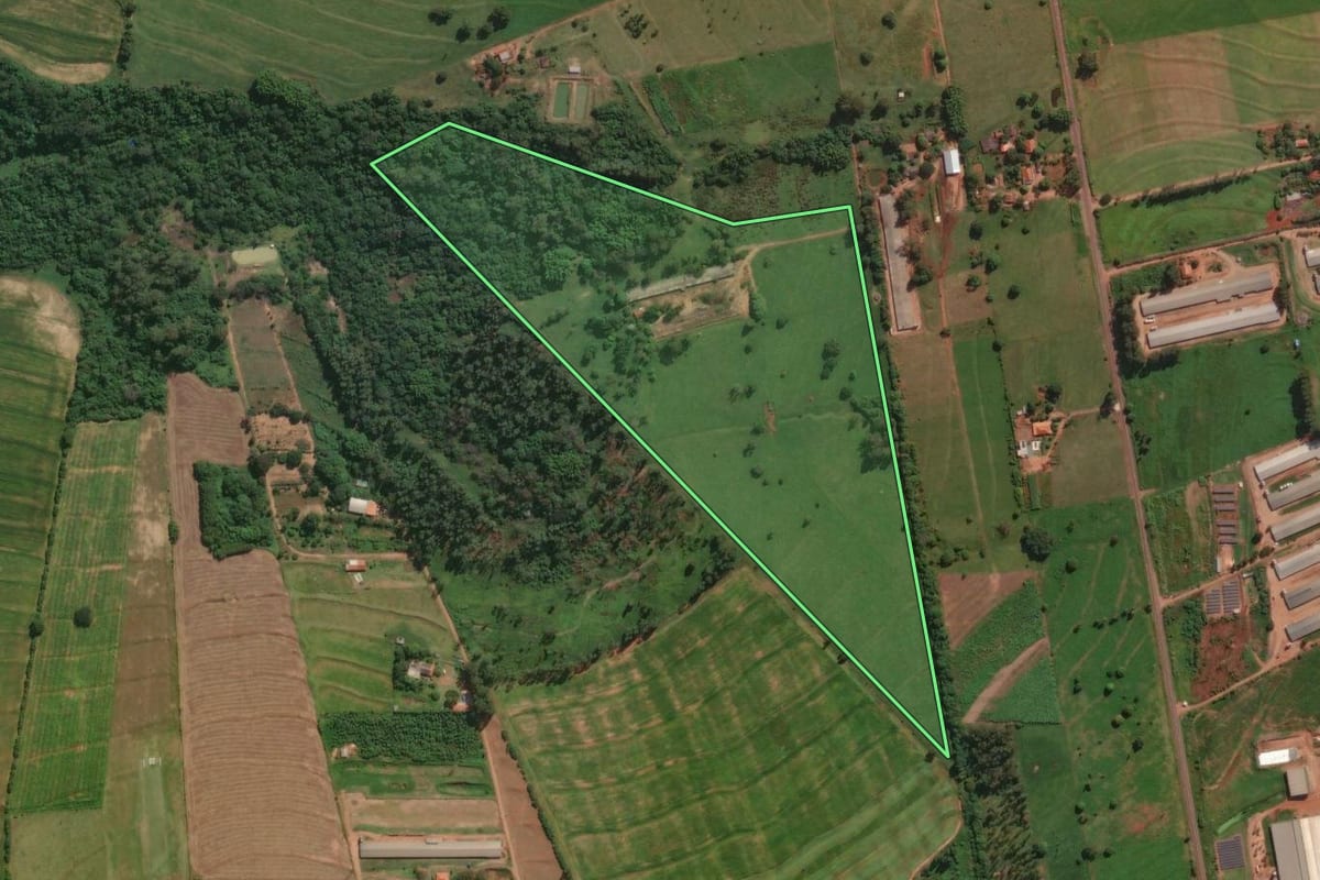 Imagem de satélite do imóvel rural em Iguaraçu (PR), com o contorno declarado no CAR desenhado por cima.