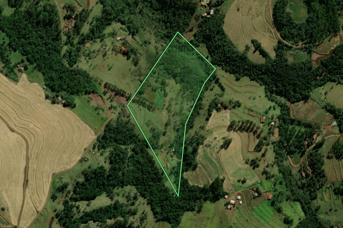 Imagem de satélite do imóvel rural em Iguatu (PR), com o contorno declarado no CAR desenhado por cima.