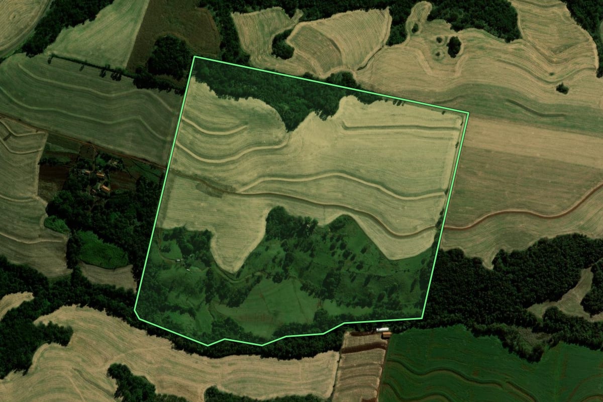 Imagem de satélite do imóvel rural em Iguatu (PR), com o contorno declarado no CAR desenhado por cima.