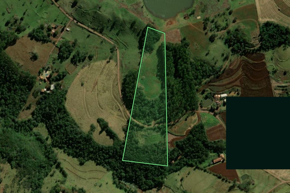 Imagem de satélite do imóvel rural em Iguatu (PR), com o contorno declarado no CAR desenhado por cima.