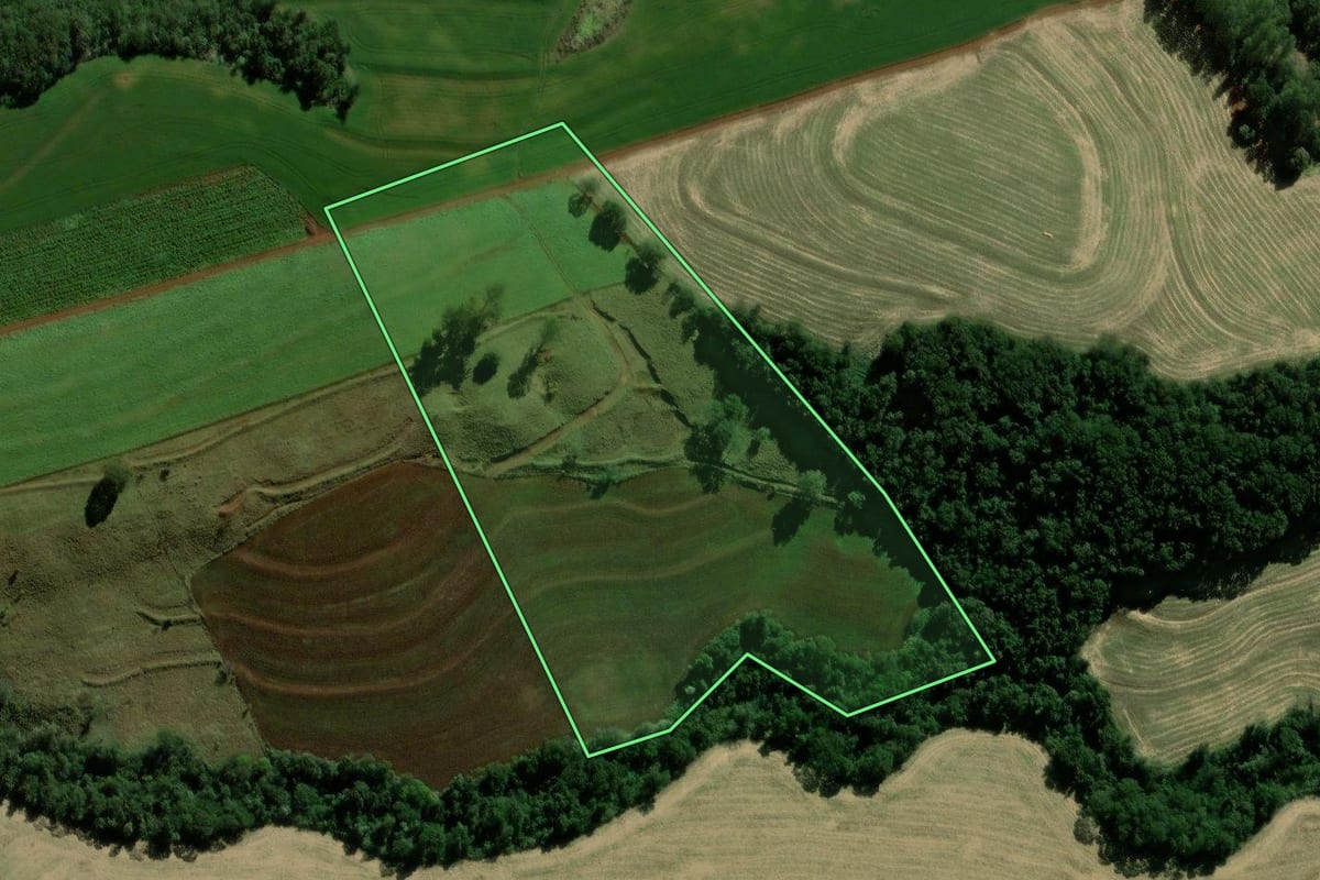 Imagem de satélite do imóvel rural em Iguatu (PR), com o contorno declarado no CAR desenhado por cima.