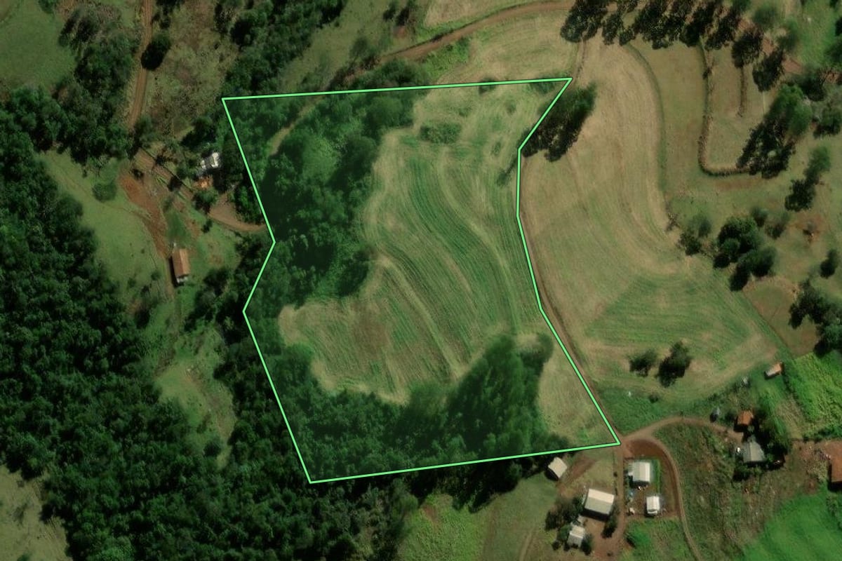 Imagem de satélite do imóvel rural em Iguatu (PR), com o contorno declarado no CAR desenhado por cima.