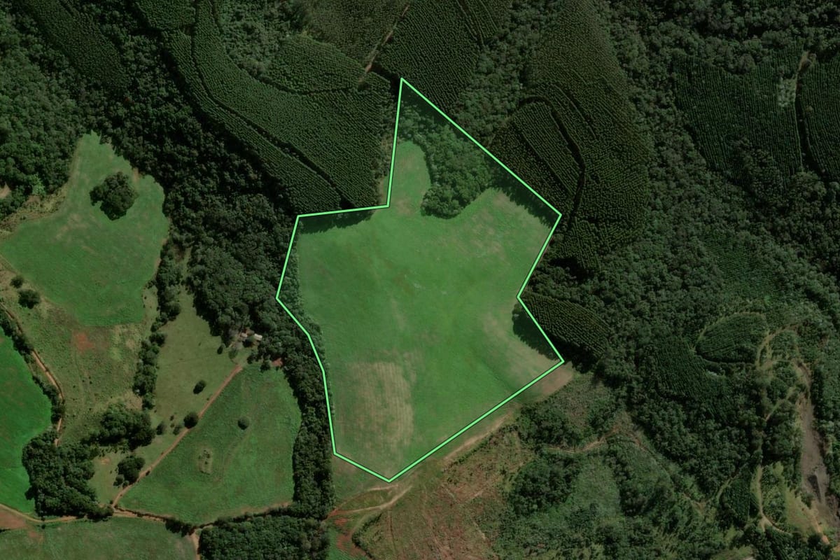 Imagem de satélite do imóvel rural em Imbaú (PR), com o contorno declarado no CAR desenhado por cima.