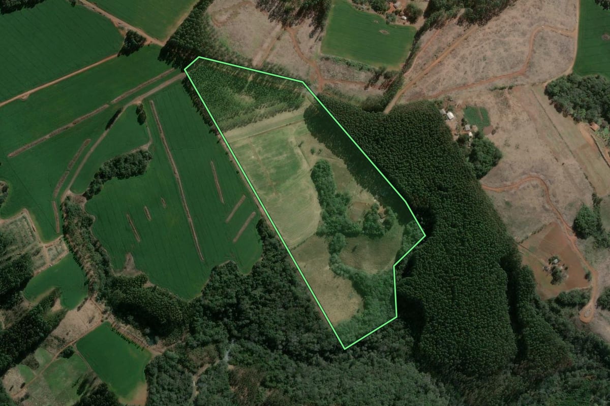 Imagem de satélite do imóvel rural em Imbaú (PR), com o contorno declarado no CAR desenhado por cima.