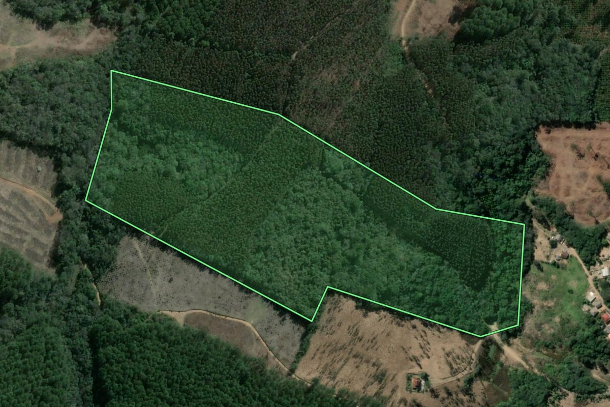 Imagem de satélite do imóvel rural em Imbaú (PR), com o contorno declarado no CAR desenhado por cima.