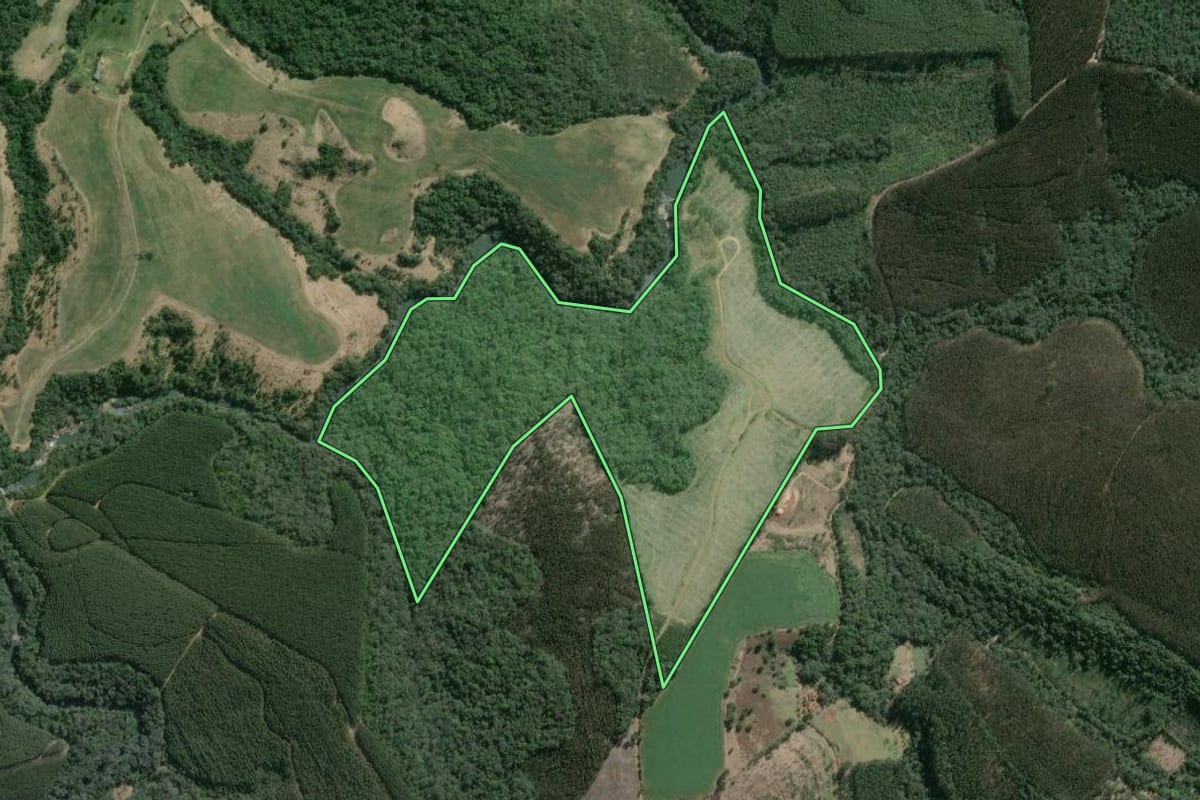 Imagem de satélite do imóvel rural em Imbaú (PR), com o contorno declarado no CAR desenhado por cima.