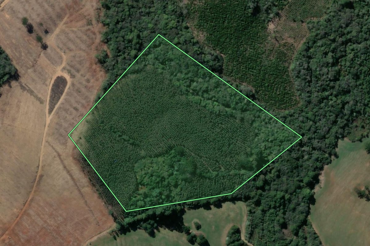 Imagem de satélite do imóvel rural em Imbaú (PR), com o contorno declarado no CAR desenhado por cima.