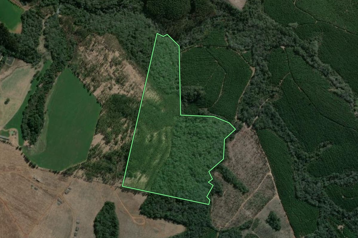 Imagem de satélite do imóvel rural em Imbaú (PR), com o contorno declarado no CAR desenhado por cima.